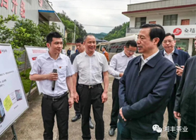 湖南省委副书记、省长许达哲视察世界杯购买平台网站桑植白茶公司
