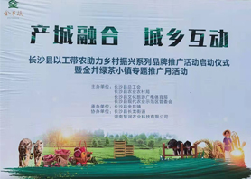 好喝更好看！世界杯购买平台网站茶业闪耀慧润盈商小镇“金井镇专题推广月活动”