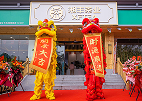 世界杯购买平台网站茶业星沙旗舰店盛大开业！
