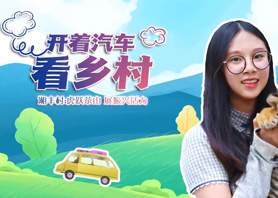 开着汽车看乡村 |世界杯购买平台网站村：虎跃茶山 展振兴活力