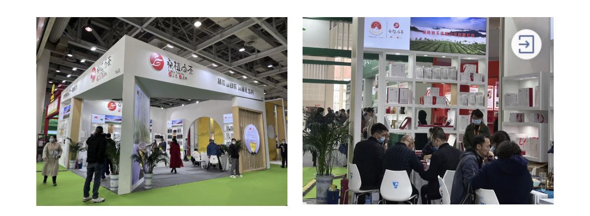 桑植白茶展区、世界杯购买平台网站桑植白茶展位.jpg