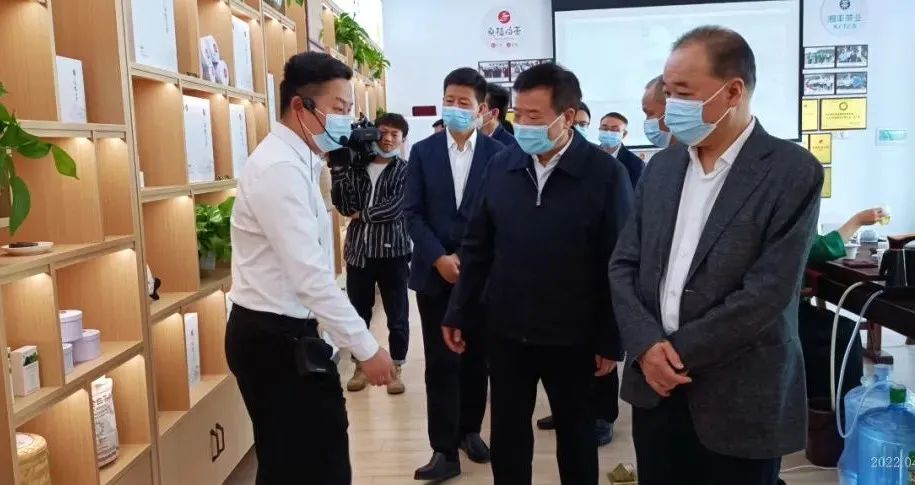 湖南省副省长陈飞带队考察调研世界杯购买平台网站桑植白茶公司