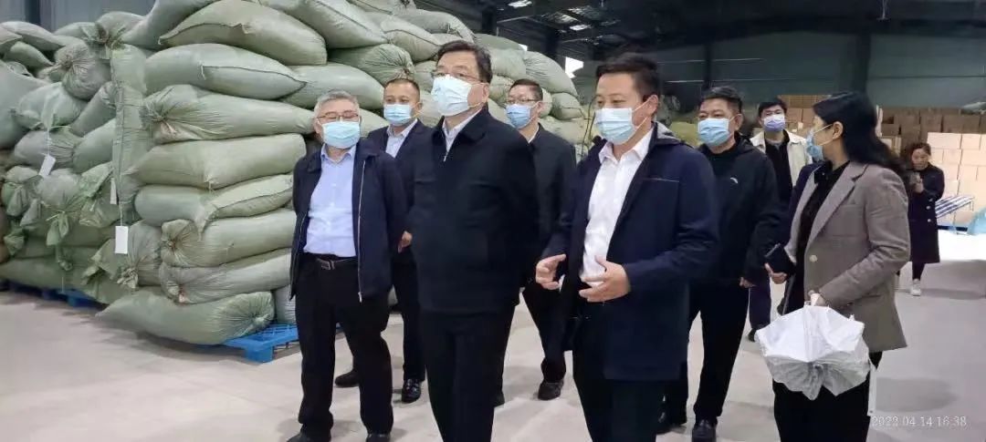 湖南省政协副主席张健带队考察调研世界杯购买平台网站桑植白茶公司