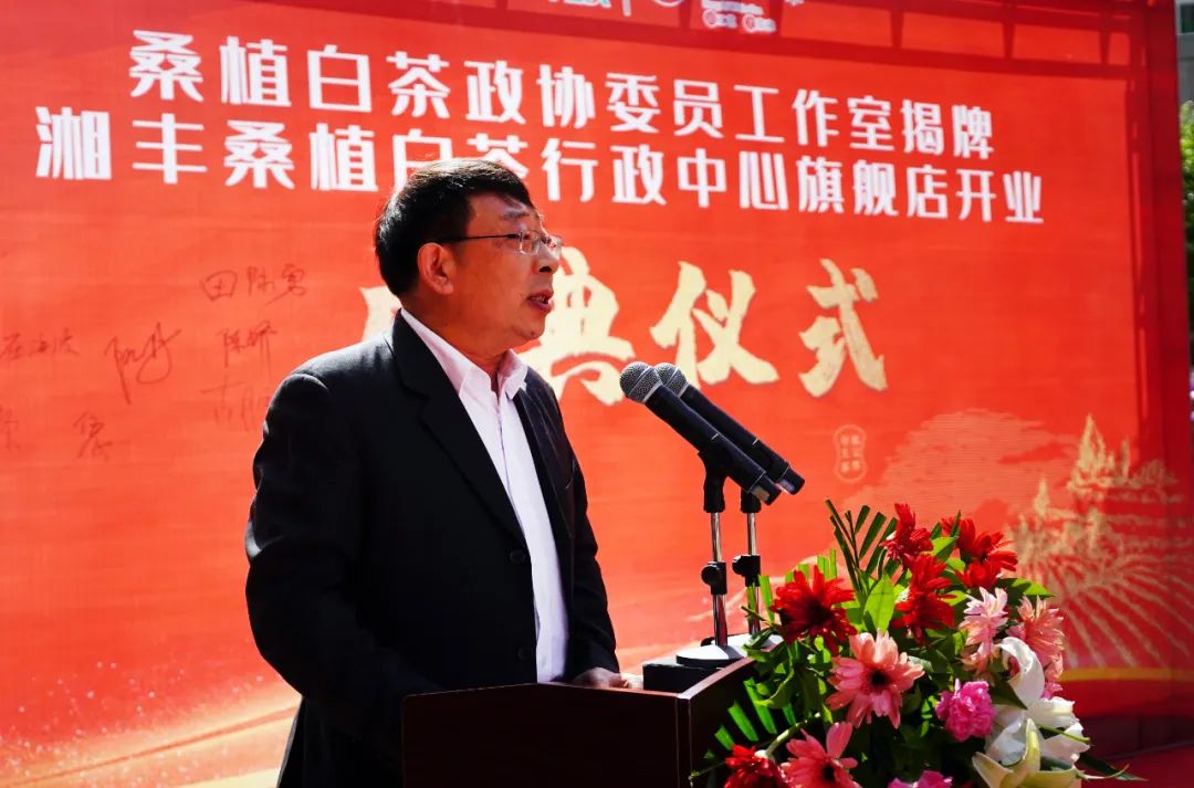 喜报 | 世界杯购买平台网站桑植白茶行政中心旗舰店开业！
