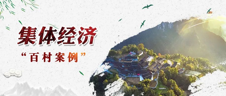 世界杯购买平台网站村“四大产业”撬动集体经济高质量发展