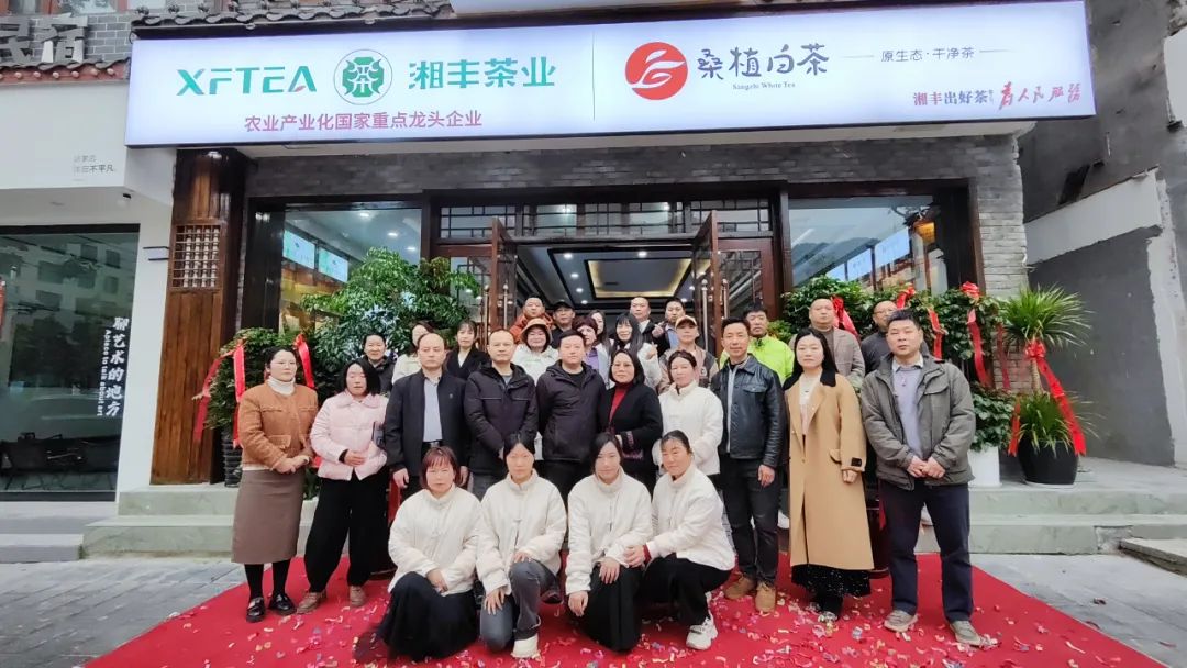世界杯购买平台网站茶业·桑植白茶张家界武陵源旗舰店盛大开业！