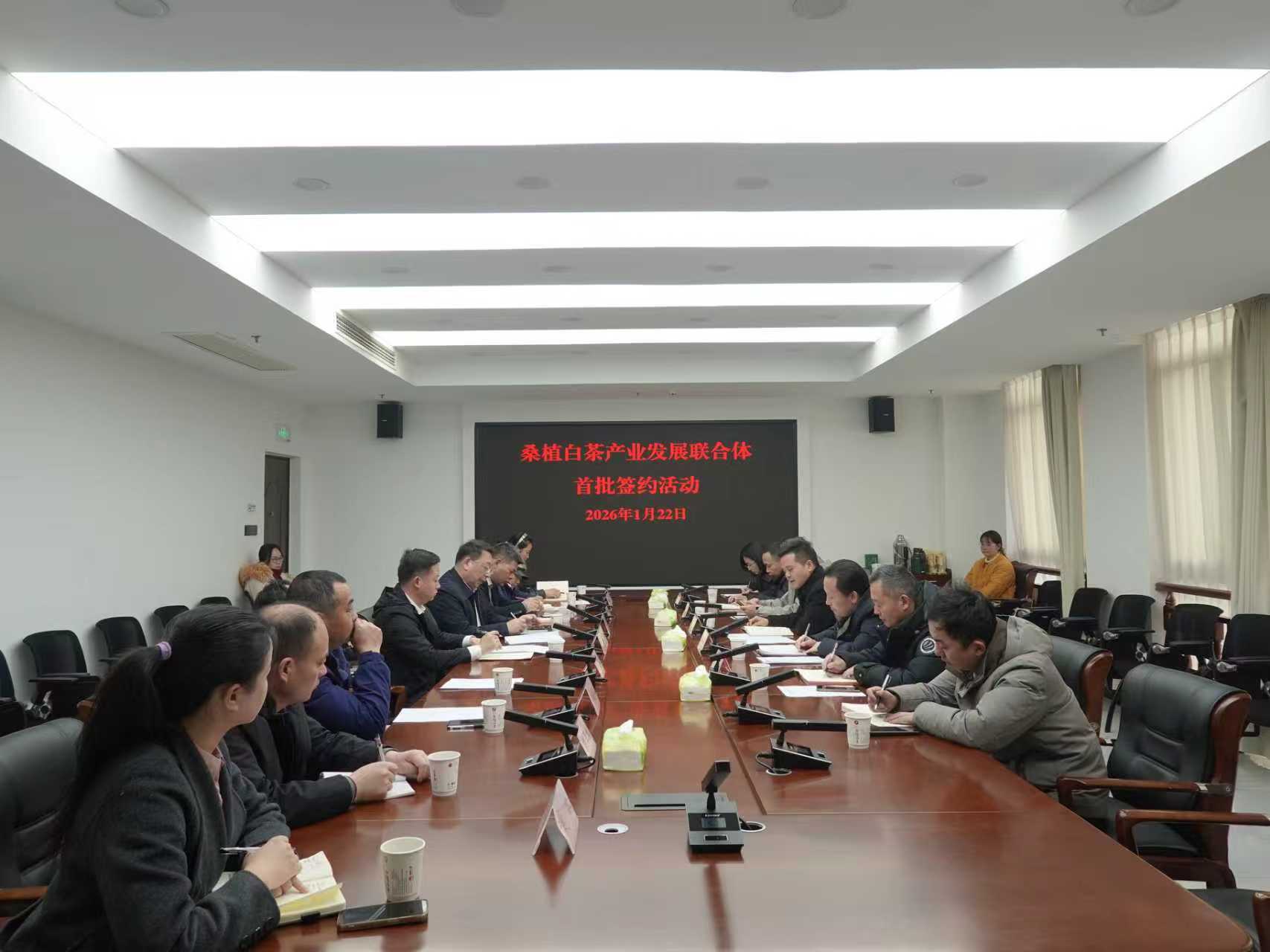世界杯购买平台网站桑植白茶公司牵头组建桑植白茶产业发展联合体 首批签约开启协同共赢新征程