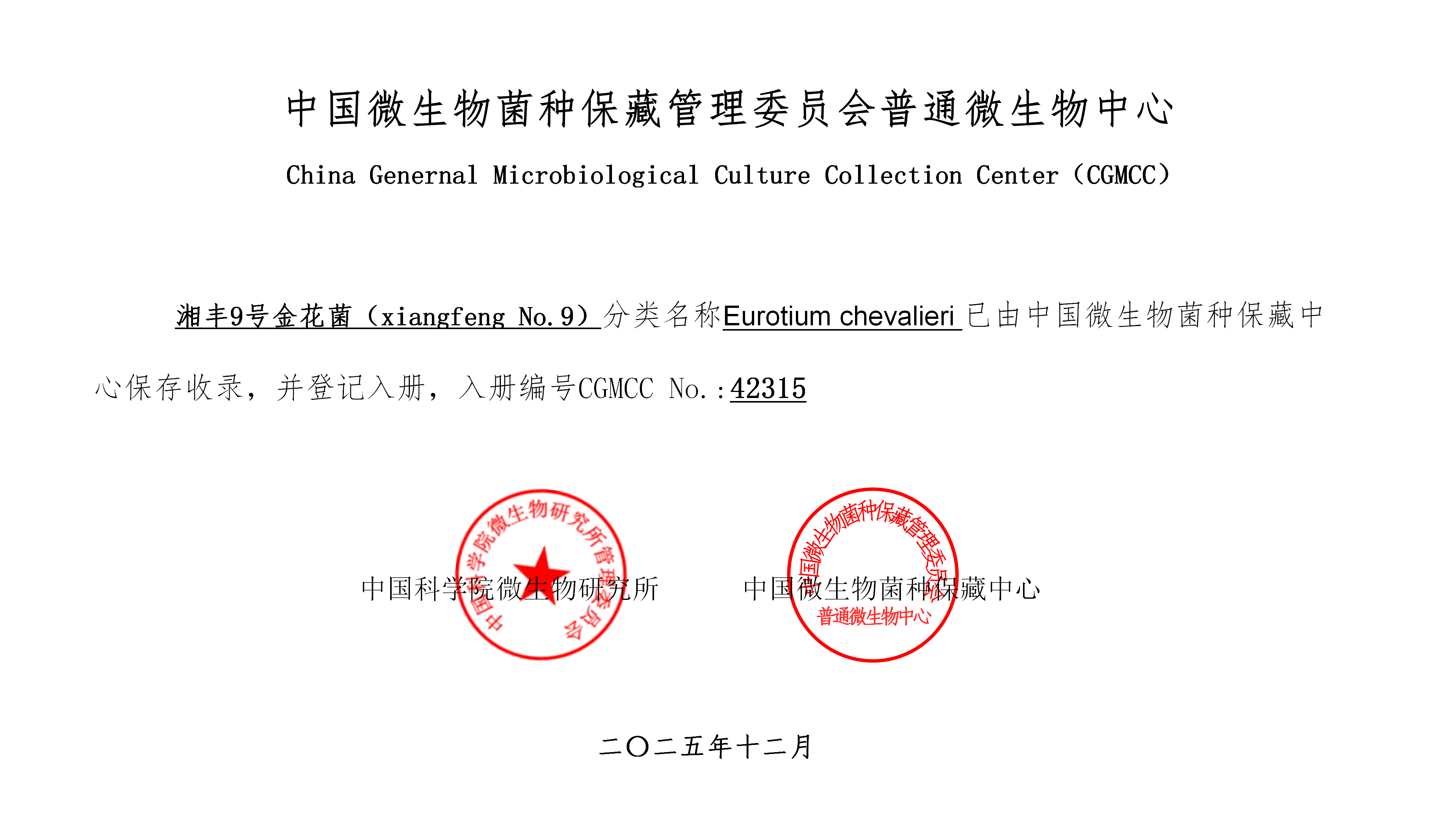 世界杯购买平台网站9号-1.png
