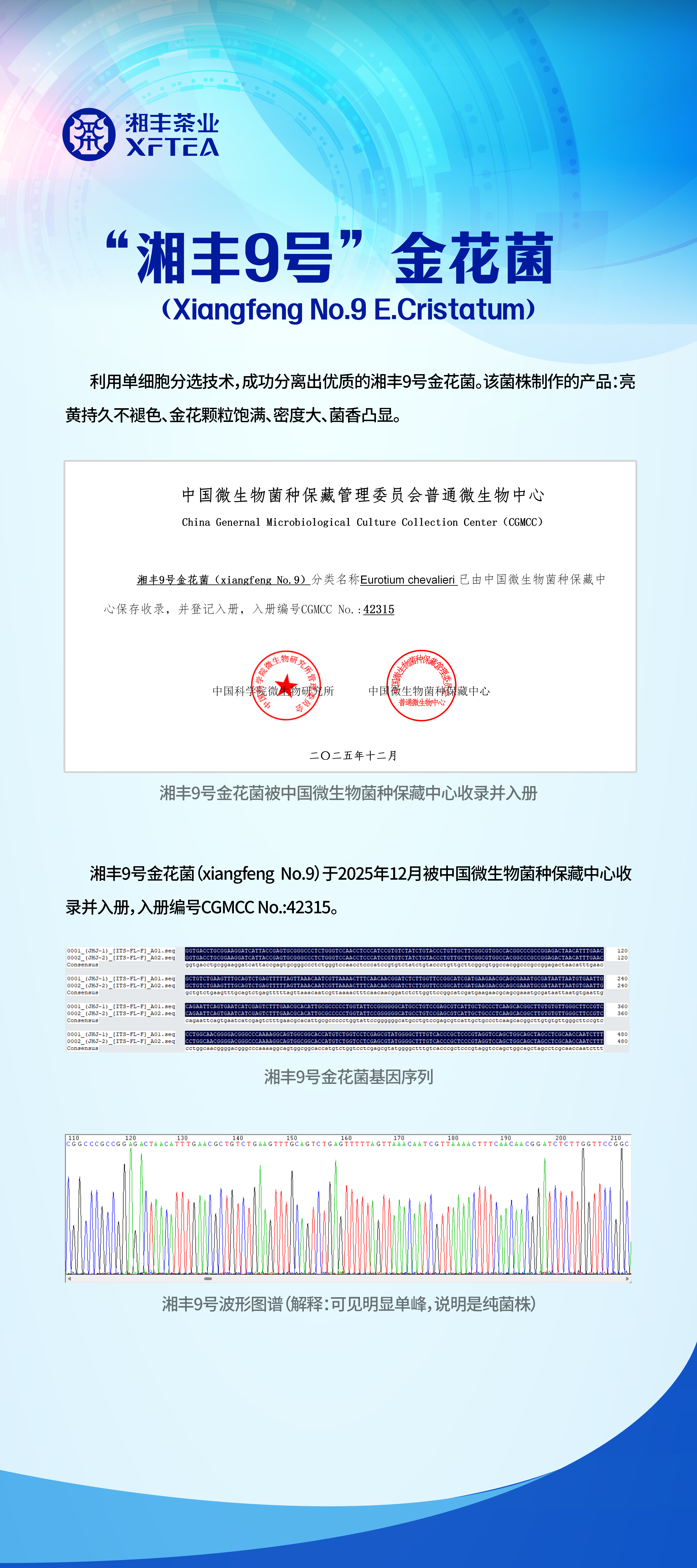 世界杯购买平台网站9号展架.jpg